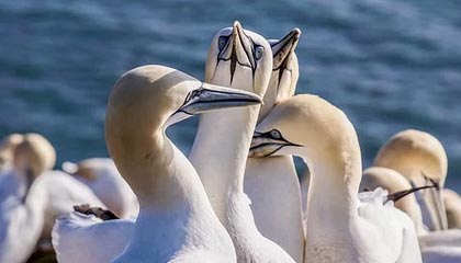 九游体育网站-《电竞持续升温：城市体育公共设施加入电竞元素》，电竞纳入体育项目