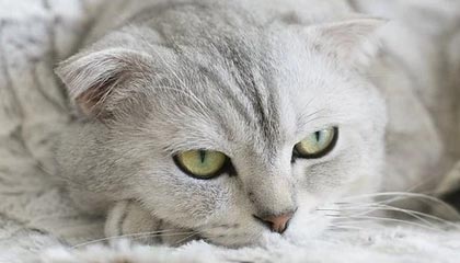 九游体育网站-《电竞持续升温：城市体育公共设施加入电竞元素》，电竞纳入体育项目